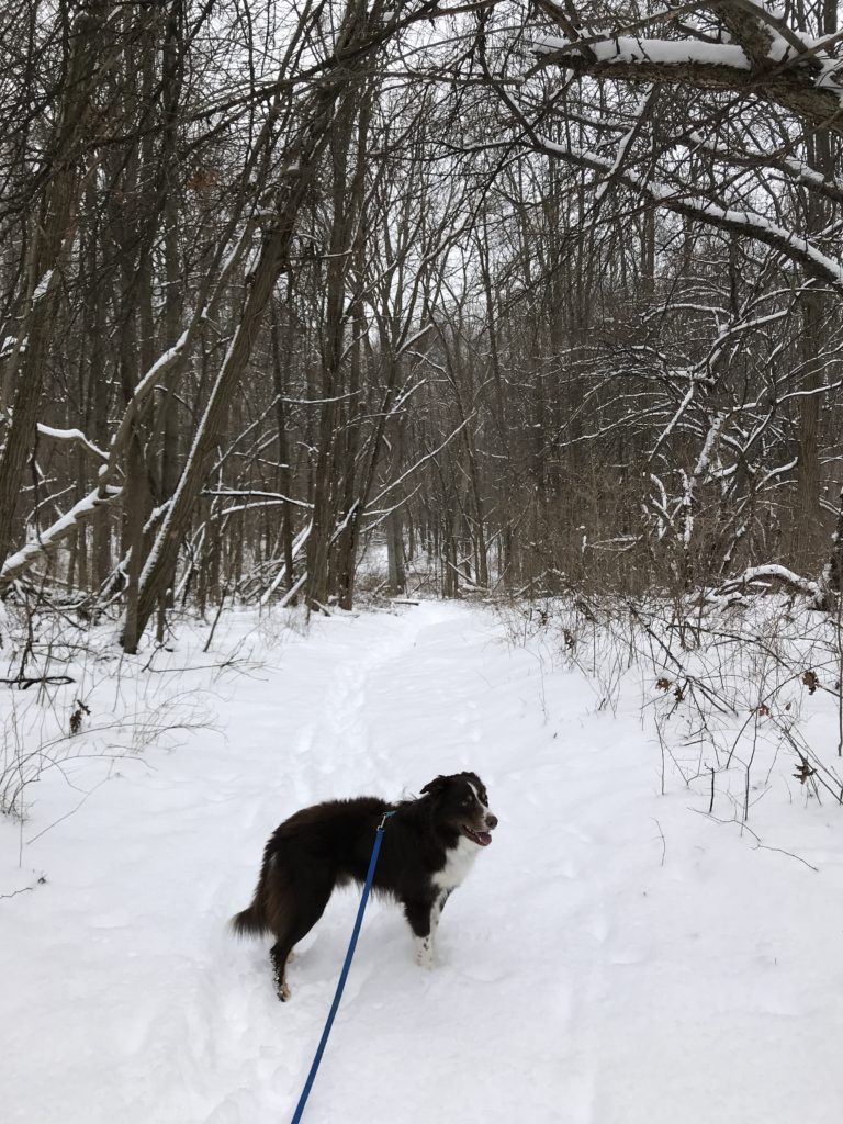 Doug in the snowy woods